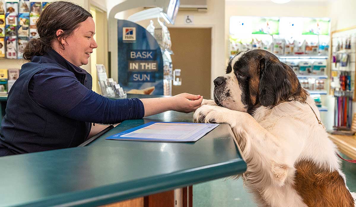 Pet Health Checks Aldinga Willunga Vet