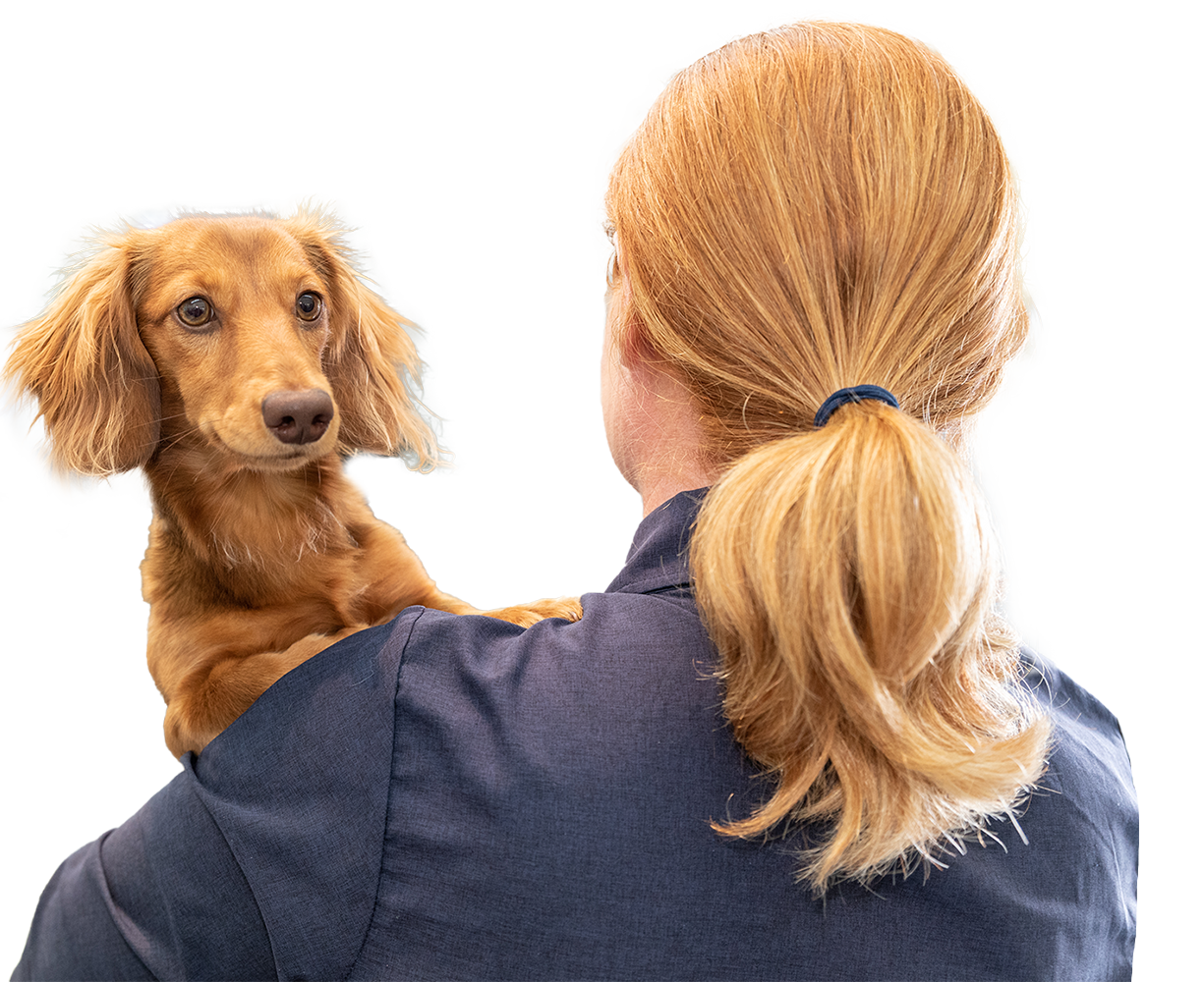 Willunga Aldinga VET Services Veterinary Pets