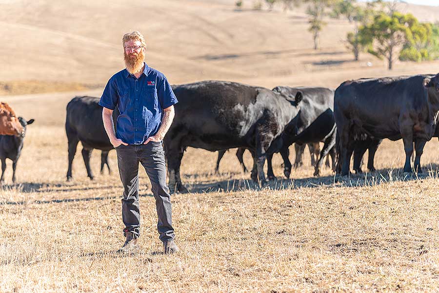 Willunga Aldinga VET Services Veterinary Pets