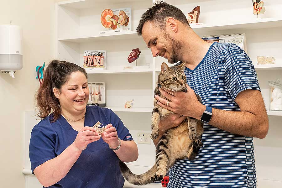 Willunga Aldinga VET Services Veterinary Pets