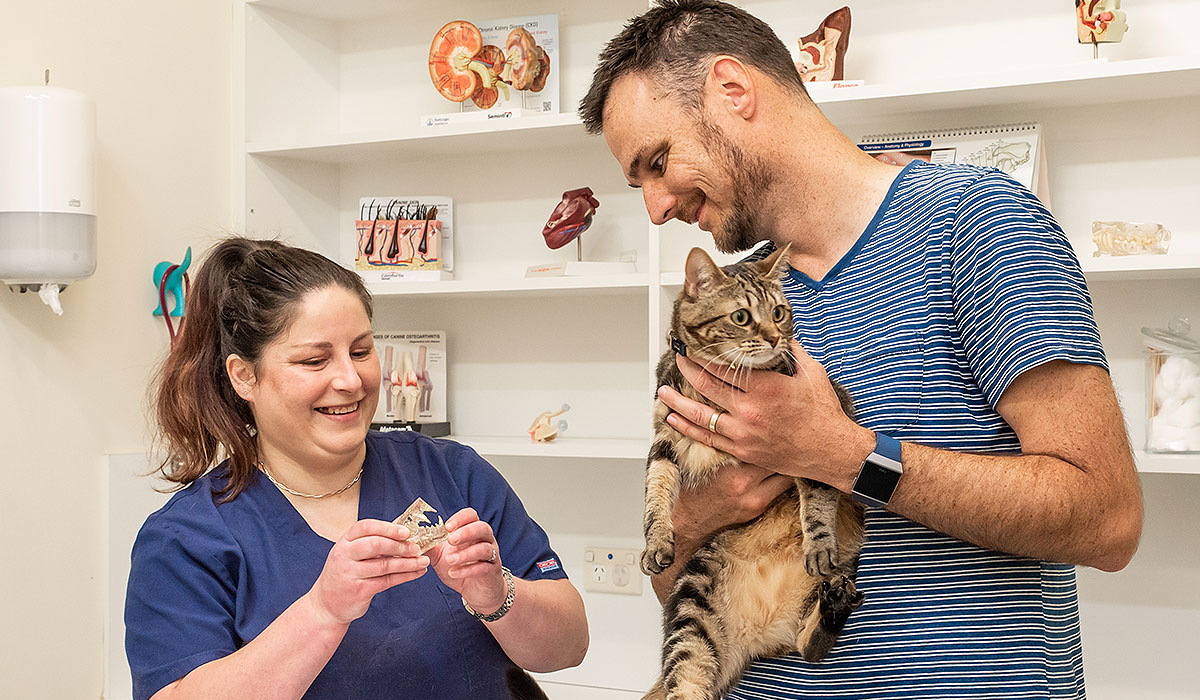 Pet Nutrition Advice Willunga Aldinga Vet