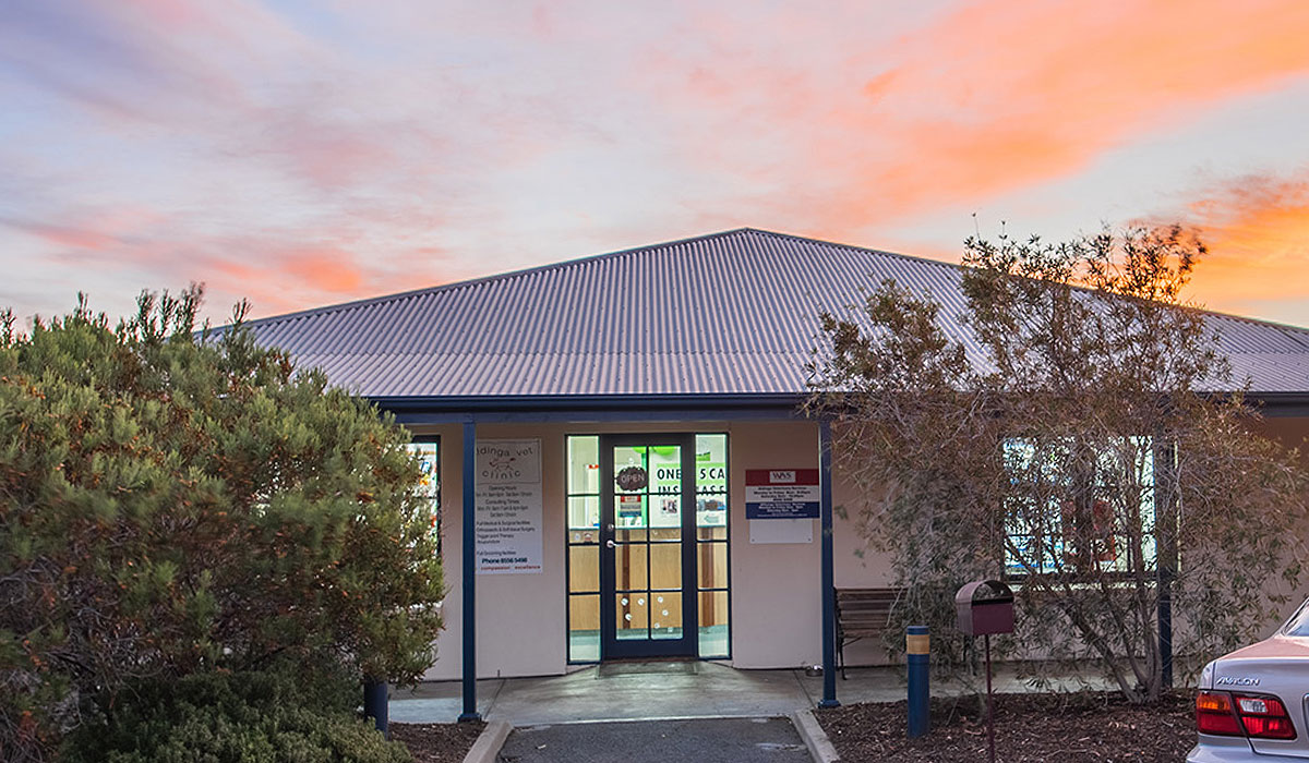 Desexing Pets Vet Aldinga Willunga