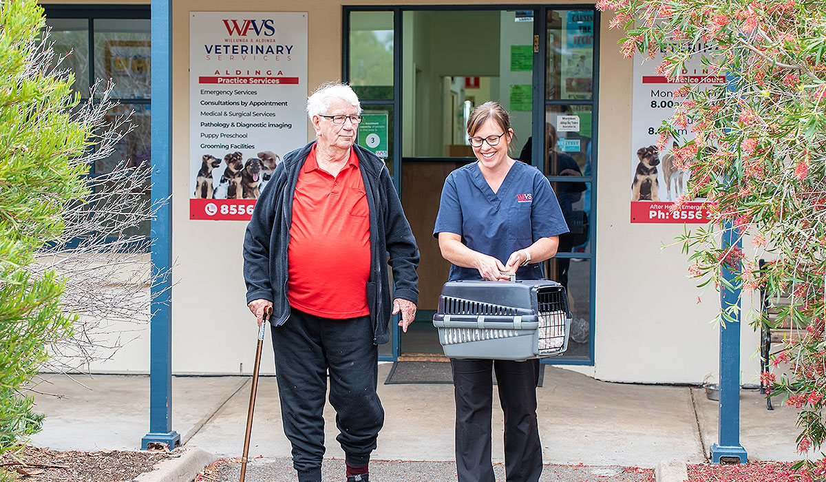 Desexing Pets Vet Aldinga Willunga