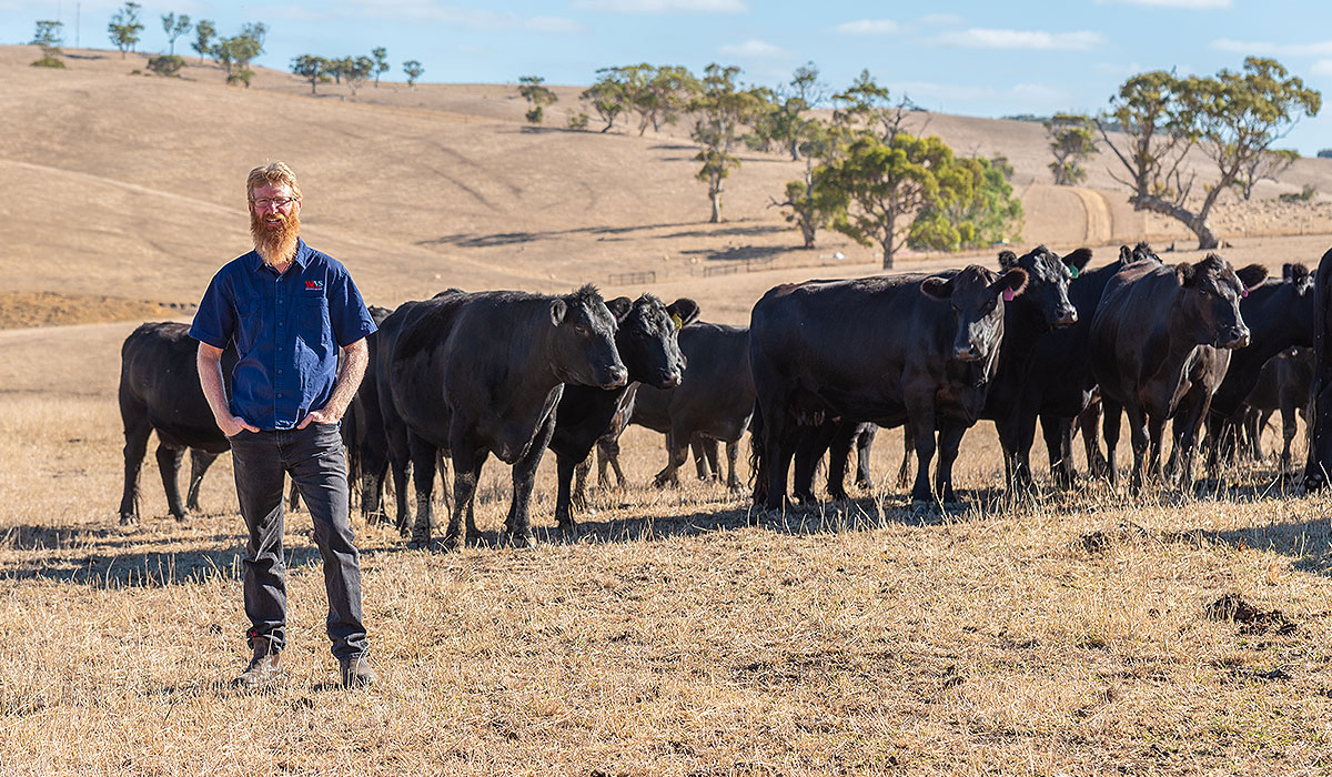 Mount Compass Large Animal Veterinary Services