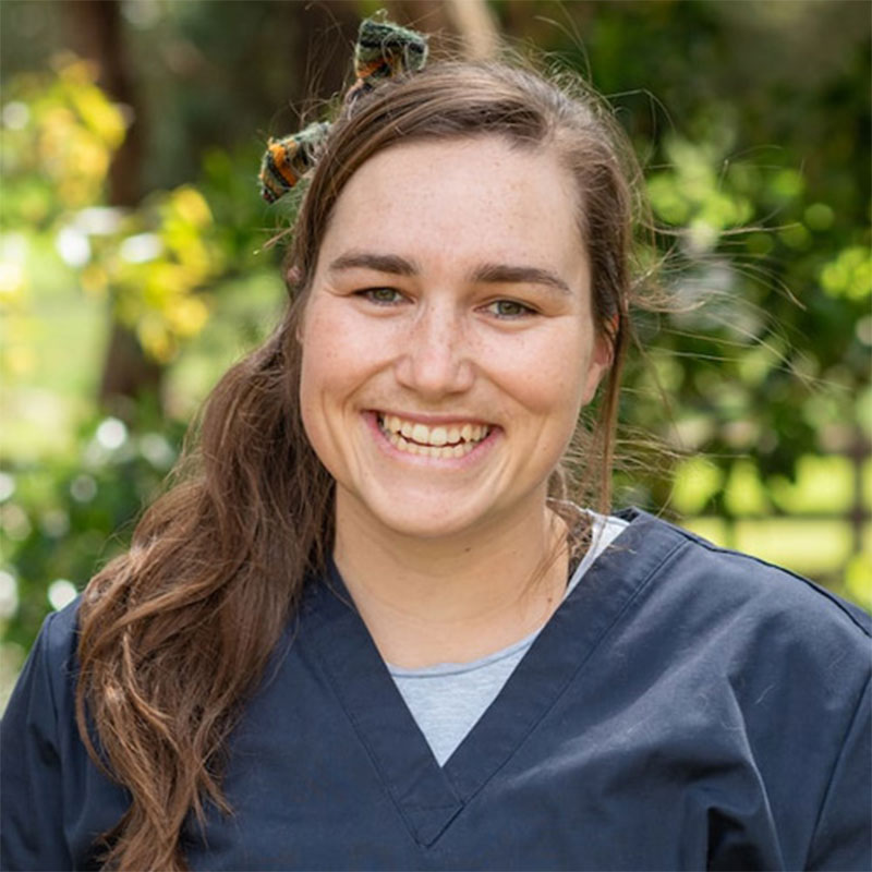 Willunga Aldinga Vet Veterinary Services