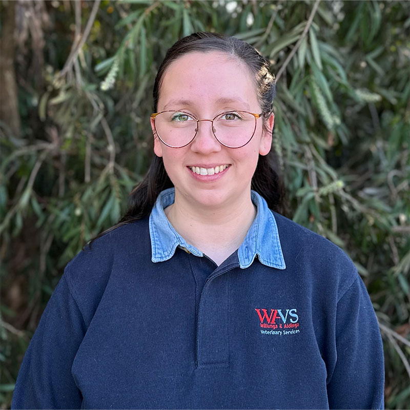 Willunga Aldinga Vet Veterinary Services