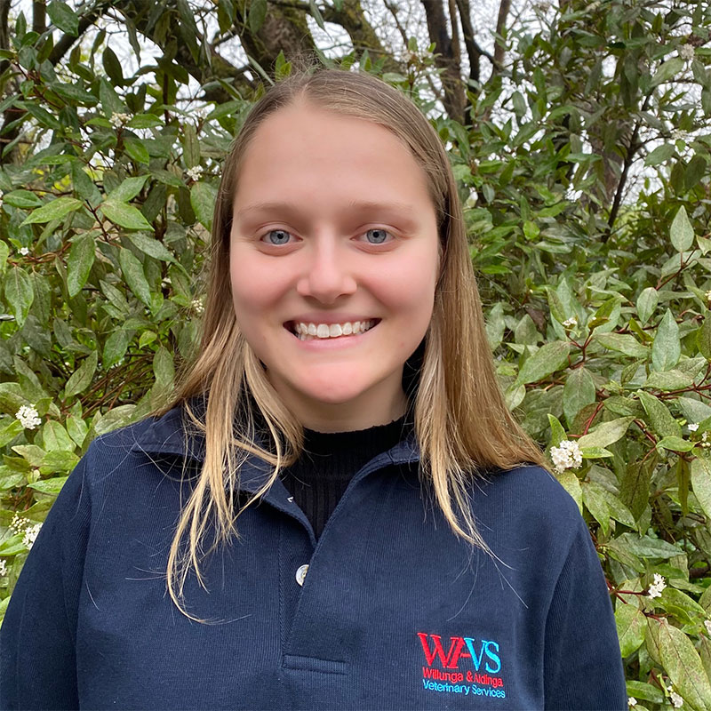 Willunga Aldinga Vet Veterinary Services