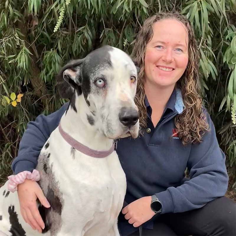 Willunga Aldinga Vet Veterinary Services