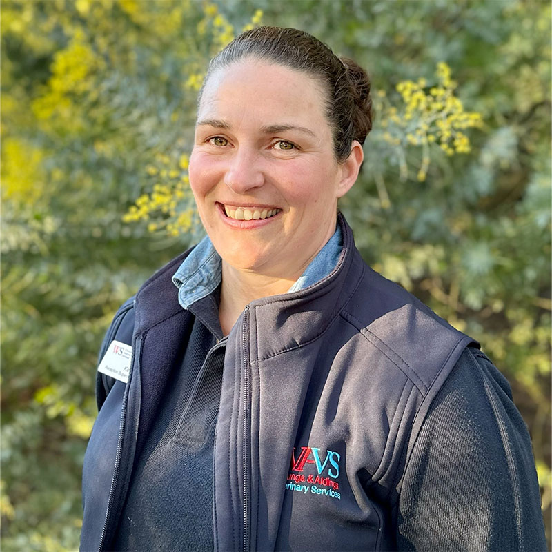 Willunga Aldinga Vet Veterinary Services