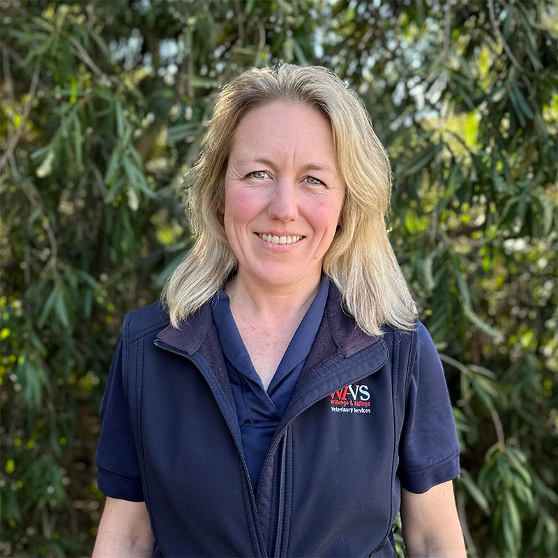 Willunga Aldinga Vet Veterinary Services