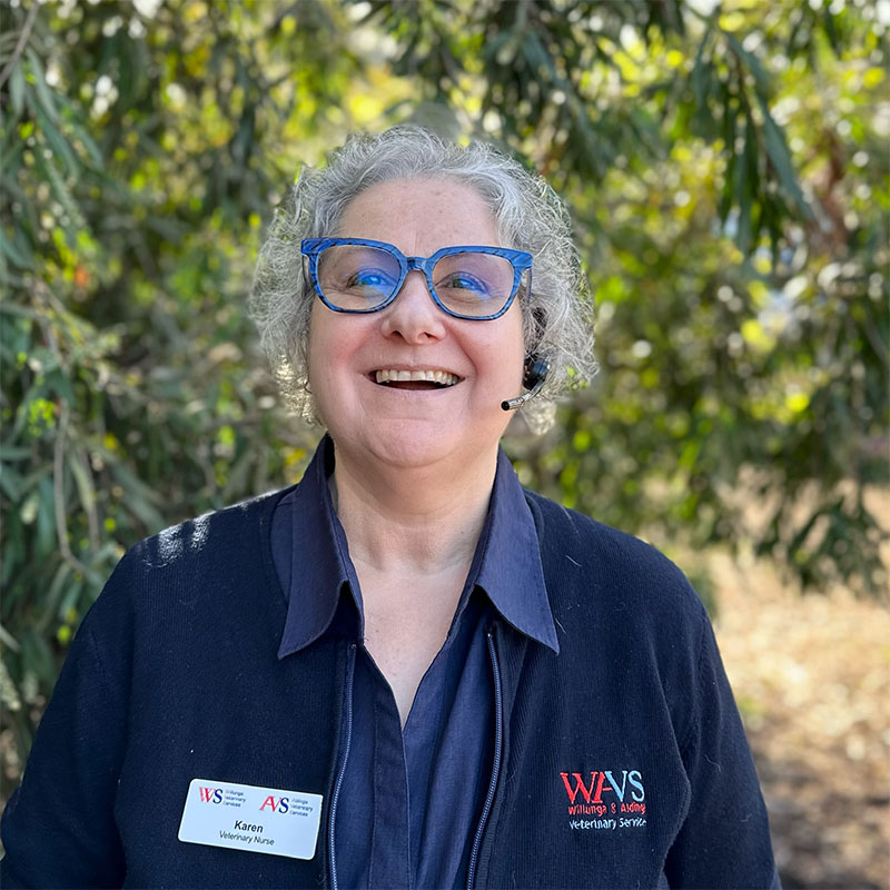 Willunga Aldinga Vet Veterinary Services