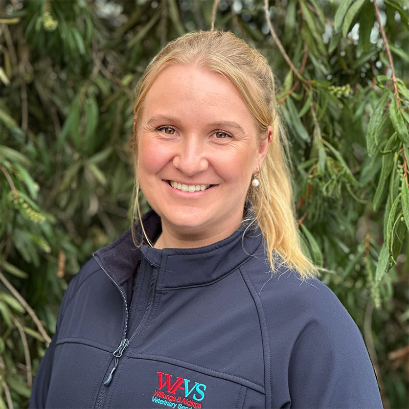 Willunga Aldinga Vet Veterinary Services