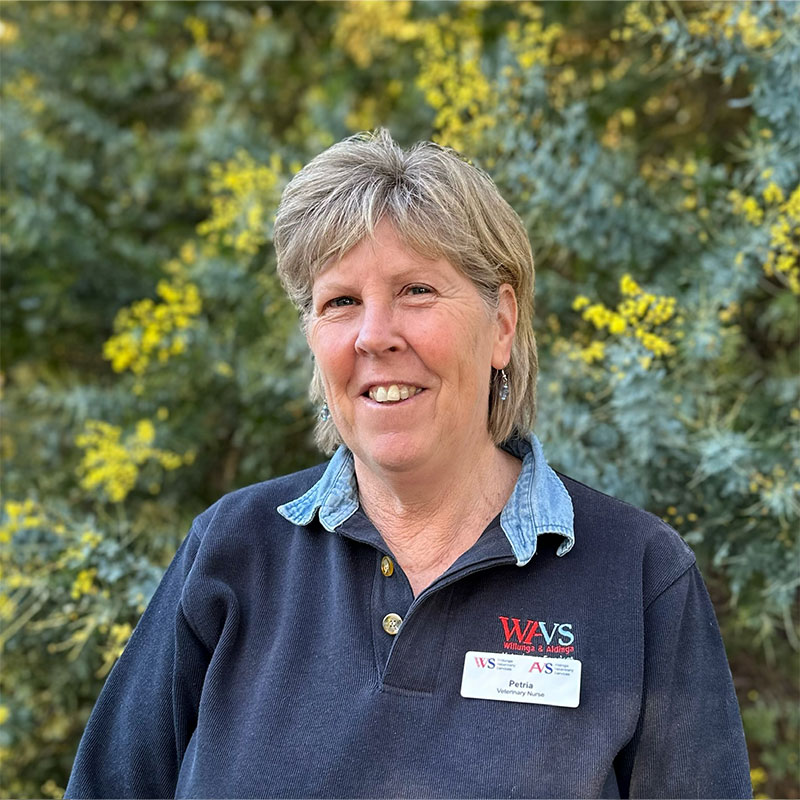 Willunga Aldinga Vet Veterinary Services