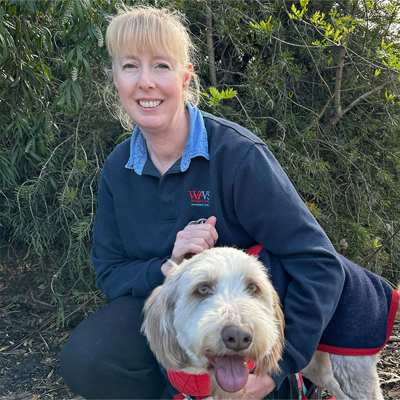 Willunga Aldinga Vet Veterinary Services