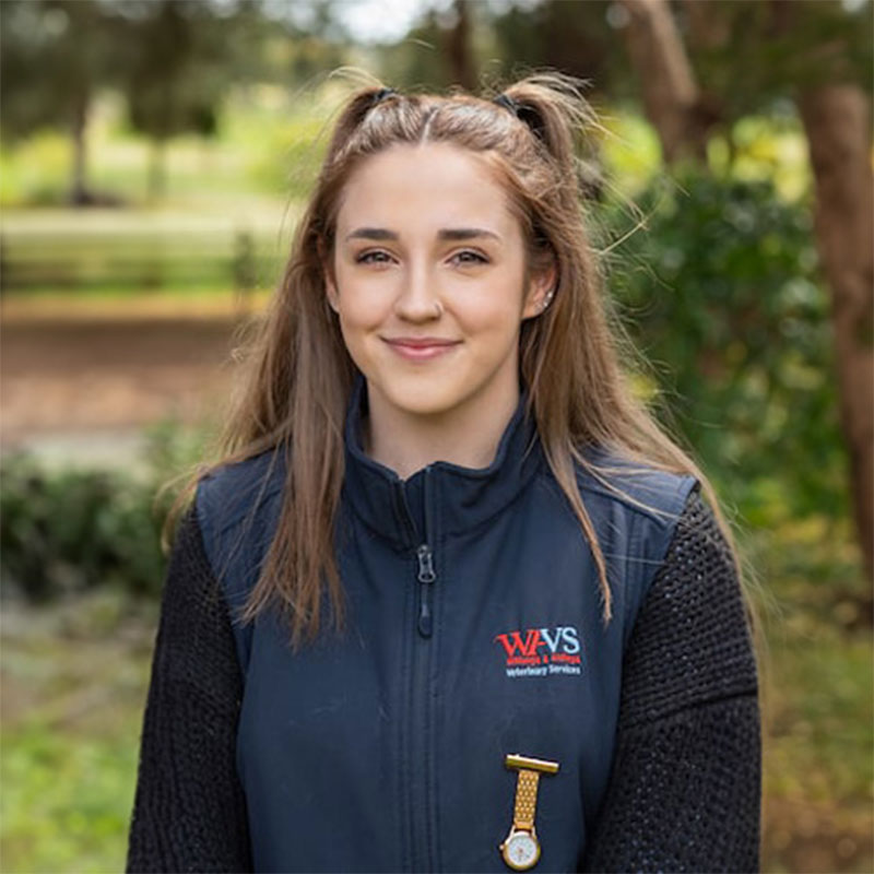 Willunga Aldinga Vet Veterinary Services