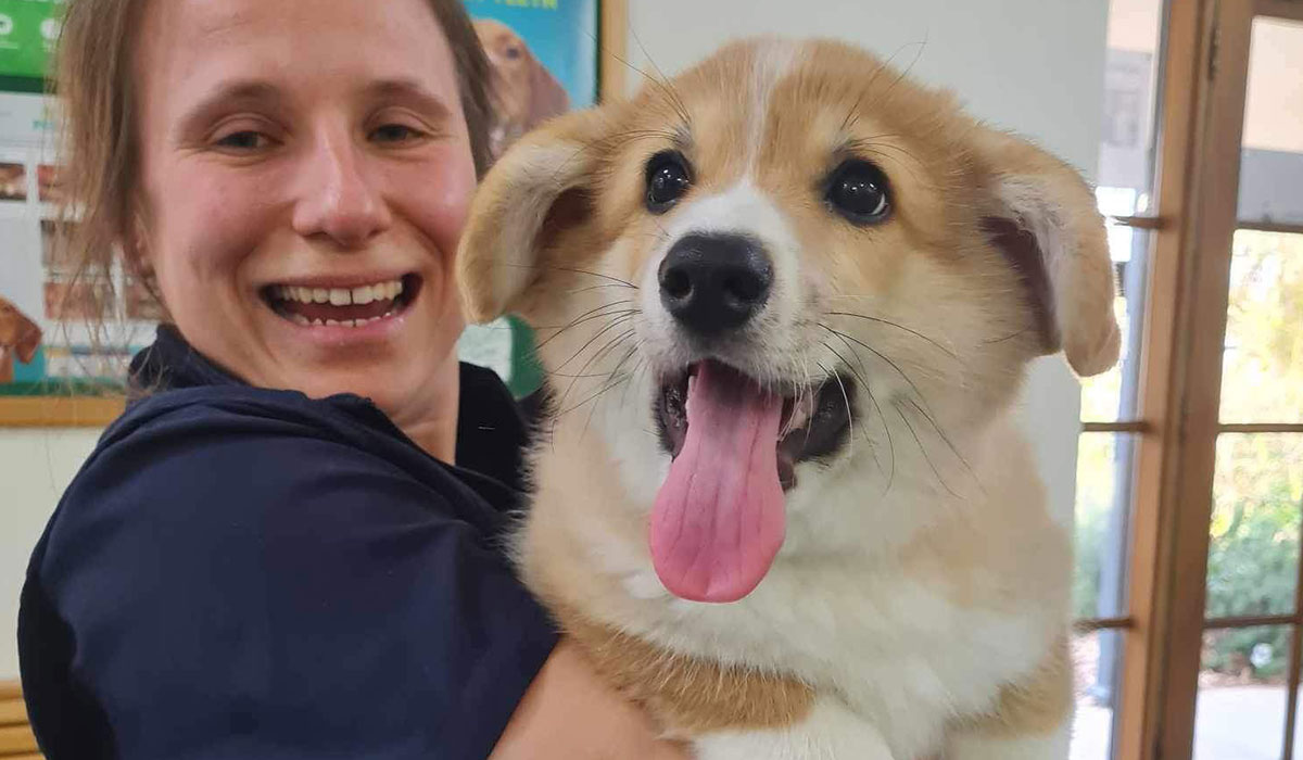 Radiographs XRays Vet Pet Aldinga Willunga