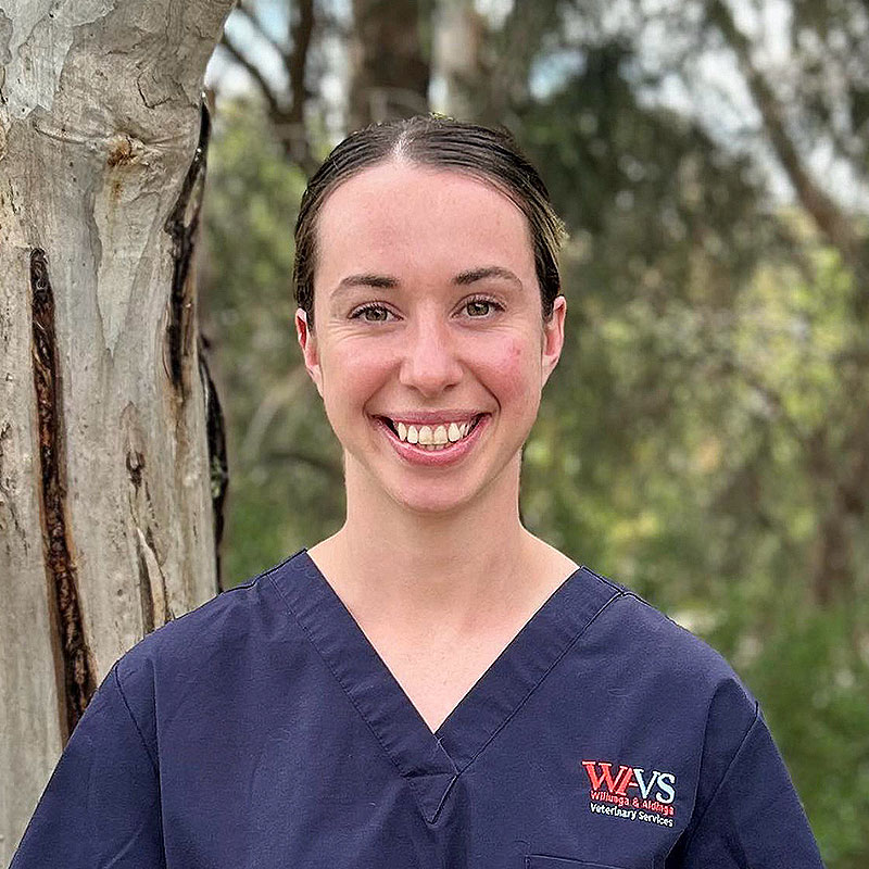 Willunga Aldinga Vet Veterinary Services